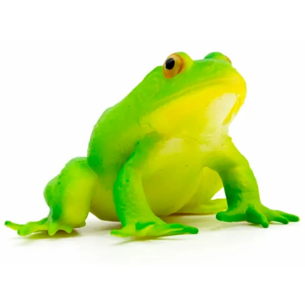 Jucărie antistres Icom Poland Broscuța Green / 3+ photo 2 Jucărie antistres Icom Poland Broscuța Green / 3+ photo 2