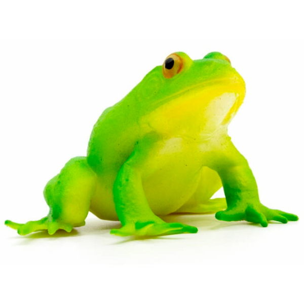 Jucărie antistres Icom Poland Broscuța Green / 3+ photo 2 Jucărie antistres Icom Poland Broscuța Green / 3+ photo 2