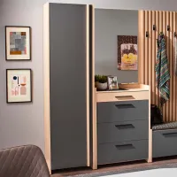 Шкаф для прихожей Ambianta Solaris ДСП меламин / Графитовый