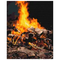 Pictură pe numere BrushMe Rug BS21741FC 50 x 40 cm / Verticală