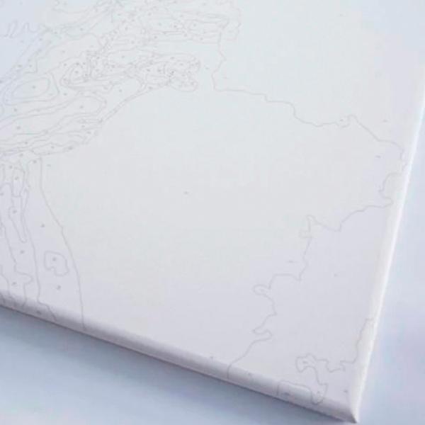 Картина по номерам BrushMe Портрет африканской женщины BS51956FC 50 x 40 см / Вертикальная photo 6 Картина по номерам BrushMe Портрет африканской женщины BS51956FC 50 x 40 см / Вертикальная photo 6