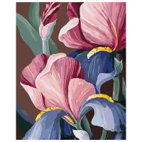 Pictură pe numere BrushMe Biluhina BS53760 50 x 40 cm / Verticală