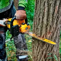 Цепная пила Dewalt DCMCS574X1-QW аккумуляторный/ Желтый photo 6