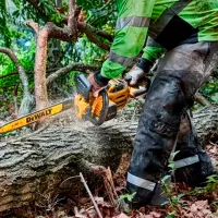 Цепная пила Dewalt DCMCS574X1-QW аккумуляторный/ Желтый photo 7
