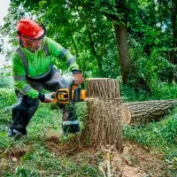 Цепная пила Dewalt DCMCS574X1-QW аккумуляторный/ Желтый photo 8