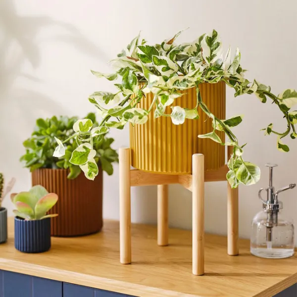 Подставка для горшка Ikea Daksjus Бежевый / Бамбуc photo 4