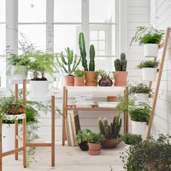 Цветочная полка Ikea Satsumas  Белый / Дерево photo 3