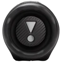 Портативная колонка JBL Charge 6 45 Вт/ Черный photo 5