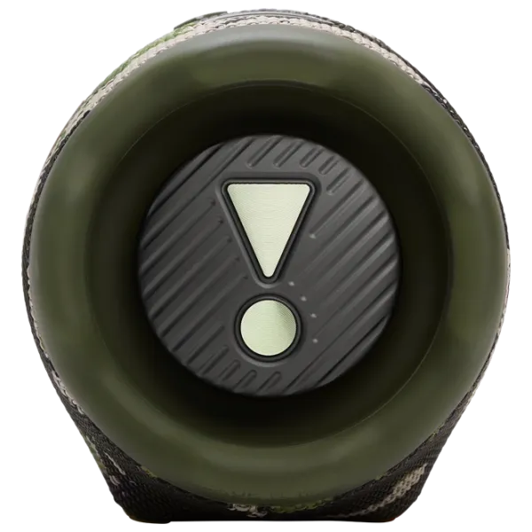 Портативная колонка JBL Charge 6 45 Вт/ Зеленый photo 6 Портативная колонка JBL Charge 6 45 Вт/ Зеленый photo 6