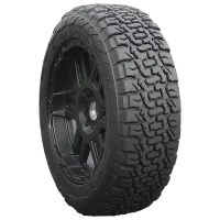 Шины Accelera Omikron CT 225/65 R17 107/103Q Лето / Легковой photo 2