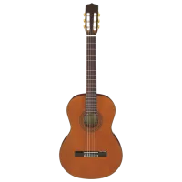 Классическая гитара Aria A-20 N 4/4, Классическая, Натуральный