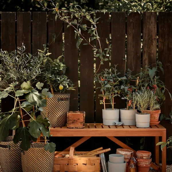 Scaun de grădină Ikea Nammaro Masiv / Masiv / Brown Brown photo 2 Scaun de grădină Ikea Nammaro Masiv / Masiv / Brown Brown photo 2