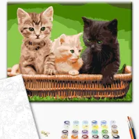 Картина по номерам BrushMe Котята в корзине RBS52621FC 40 x 30 cm / Горизонтальная photo 3