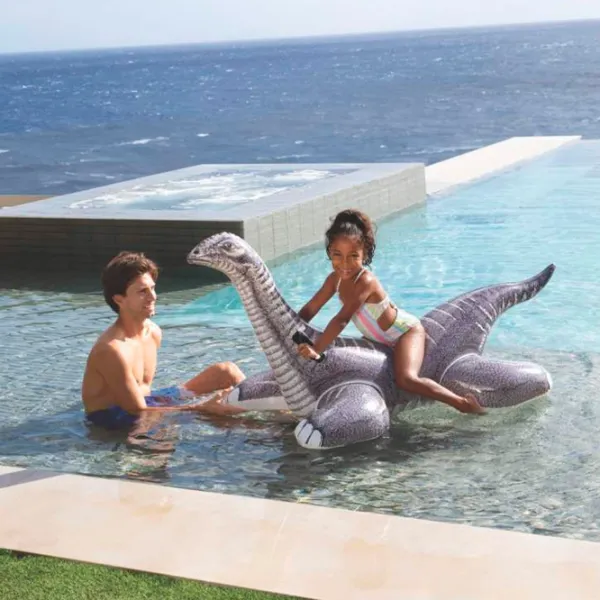 Jucărie gonflabilă Intex 57584 Vinil / Gray White photo 2