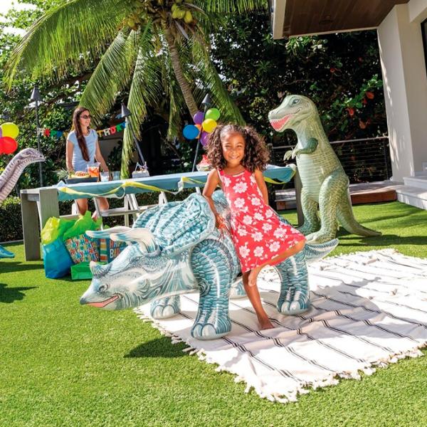 Jucărie gonflabilă Intex 48594 Vinil / Multicolor  photo 3 Jucărie gonflabilă Intex 48594 Vinil / Multicolor  photo 3