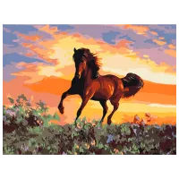 Pictură pe numere BrushMe Cal RBS6943FC 40 x 30 cm / Orizontală