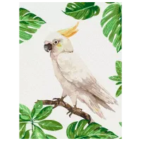 Картина по номерам BrushMe Белый какаду RBS1004FC 40 x 30 cm / Вертикальная