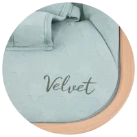 Детские качели Chipolino Velvet (SHEVL02303AL) 9 кг/ Зеленый photo 5