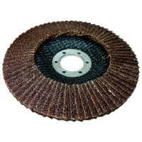 Disc lamelar S&R 136125040 photo 2