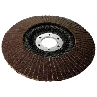 Диск лепестковый S&R 136125100 photo 2