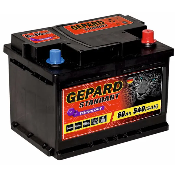 Авто аккумулятор Gepard Standart 540A / 60 Ач  photo 1