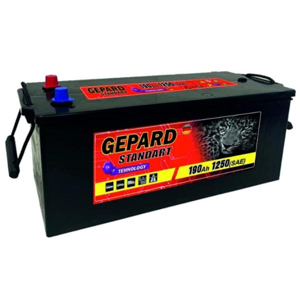 Авто аккумулятор Gepard Standart 1250A / 190 Ач  photo 1