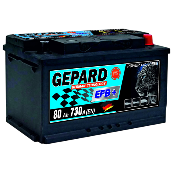 Авто аккумулятор Gepard EFB START STOP 730A / 80 Ач  photo 1