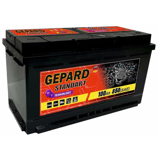 Авто аккумулятор Gepard Standart 850A / 100 Ач  photo 1