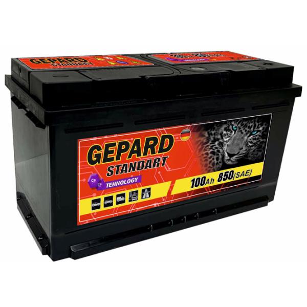 Авто аккумулятор Gepard Standart 850A / 100 Ач  photo 1