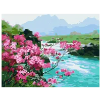 Pictură pe numere BrushMe Flori de munte RBS51394FC 40 x 30 cm / Orizontală