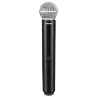Микрофон Shure BLX24E/SM58 Черный photo 2