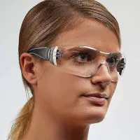 Ochelari de protecție Wolfcraft Profi Plastic / Transparent photo 2