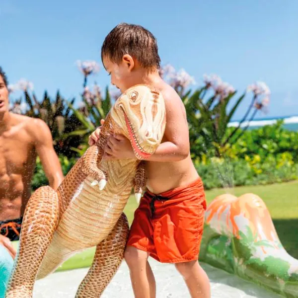 Piscină Intex 56132 410 l/ Gonflabil/ Multicolor photo 5 Piscină Intex 56132 410 l/ Gonflabil/ Multicolor photo 5