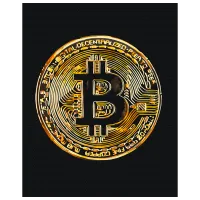 Картина по номерам BrushMe Биткойн BS53975FC 50 x 40 см / Вертикальная