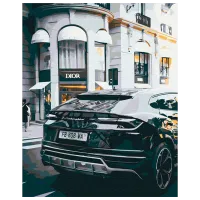 Картина по номерам BrushMe Роскошная жизнь BS52523FC 50 x 40 см / Вертикальная