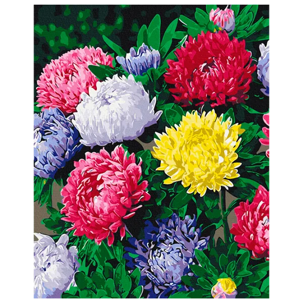 Картина по номерам BrushMe Яркие астры BS54120FC 50 x 40 см / Вертикальная photo 1 Картина по номерам BrushMe Яркие астры BS54120FC 50 x 40 см / Вертикальная photo 1