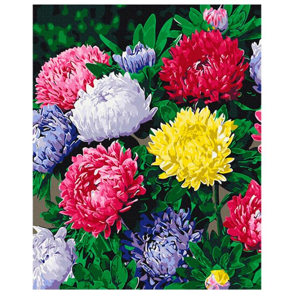Картина по номерам BrushMe Яркие астры BS54120FC 50 x 40 см / Вертикальная photo 1 Картина по номерам BrushMe Яркие астры BS54120FC 50 x 40 см / Вертикальная photo 1