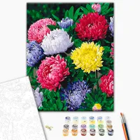 Картина по номерам BrushMe Яркие астры BS54120FC 50 x 40 см / Вертикальная photo 3
