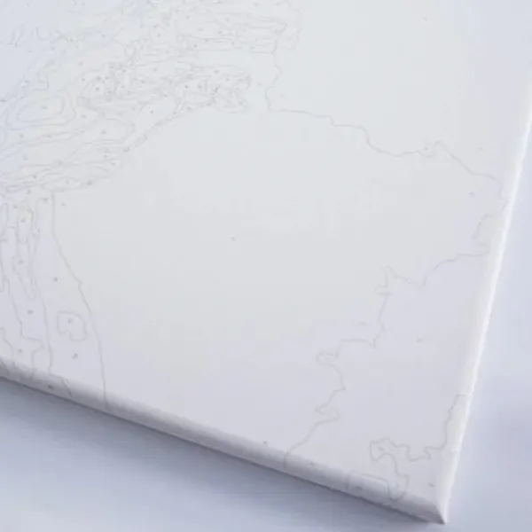 Картина по номерам BrushMe Яркие астры BS54120FC 50 x 40 см / Вертикальная photo 4 Картина по номерам BrushMe Яркие астры BS54120FC 50 x 40 см / Вертикальная photo 4