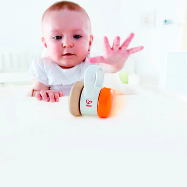Zornăitoare muzicală Hola Toys K-E0017 de la 0 luni photo 4