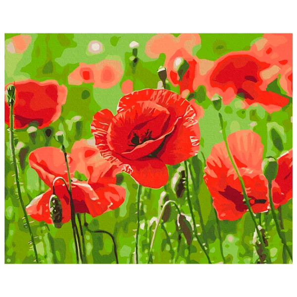 Pictură pe numere BrushMe Maci roșii BS53703FC 50 x 40 cm / Orizontală photo 1 Pictură pe numere BrushMe Maci roșii BS53703FC 50 x 40 cm / Orizontală photo 1
