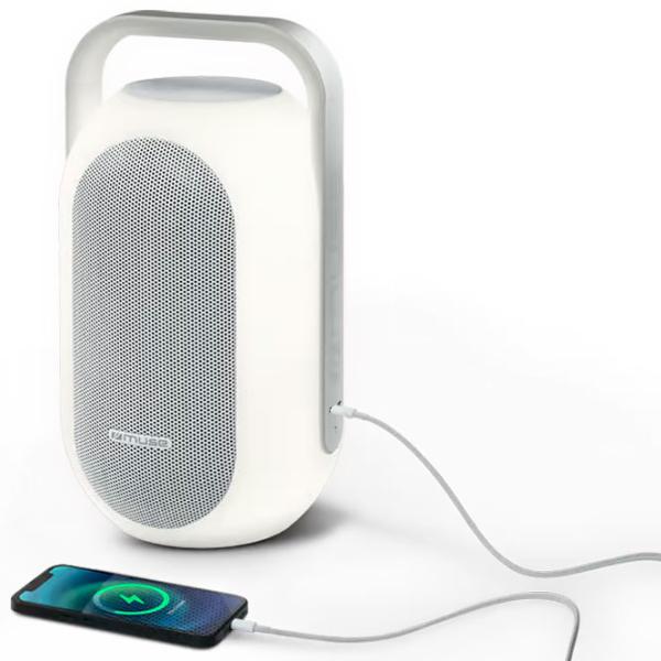 Boxă portabilă Muse ML-625 60 W/ White photo 4
