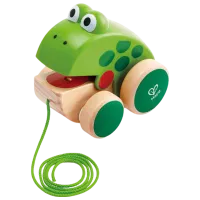 Интерактивная игрушка Hape E0361  1+ / Зеленый