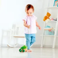 Jucărie interactivă Hape E0361 1+ / Green photo 6