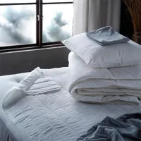 Husă pentru saltea Ikea Luddros 5310852 80 x 200 cm / Bumbac photo 2