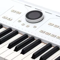 Sintetizator digital Arturia AstroLab 61 clape / 128 voci / Plastic / White photo 6
