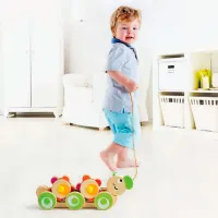 Jucărie de împins și tras Hape K-E0351 1+ / Multicolor photo 5