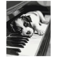 Pictură pe numere BrushMe Melodia somnului BS54066 50 x 40 cm / Verticală