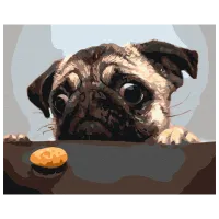 Картина по номерам BrushMe Мопс BS8765FC 50 x 40 см / Горизонтальная