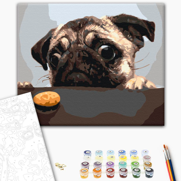 Картина по номерам BrushMe Мопс BS8765FC 50 x 40 см / Горизонтальная photo 2 Картина по номерам BrushMe Мопс BS8765FC 50 x 40 см / Горизонтальная photo 2